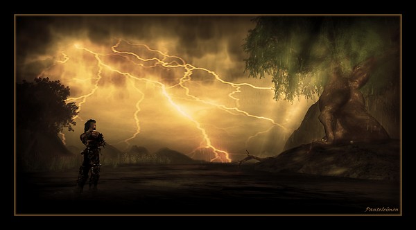 Stormwatcher