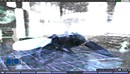 bryn oh artist in second life
