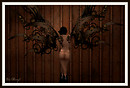 Patron - Steampunk Angel