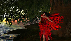 Pas De Deux gown and wings