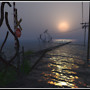 Foggy Crossing