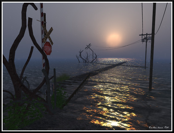 Foggy Crossing