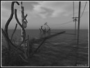 crossing