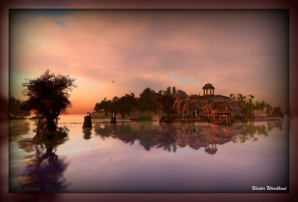 Dawn