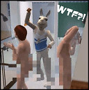 Llamas