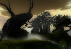 Trees