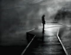 The way of life