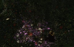A circle of mushrooms - Ravenelle Zugzwang