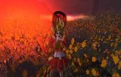 Blossom in the blossoms - Ravenelle Zugzwang