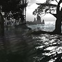 Standing in the shallow water - Ravenelle Zugzwang