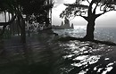 Standing in the shallow water - Ravenelle Zugzwang