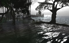 Standing in the shallow water - Ravenelle Zugzwang