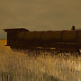 The Far Away