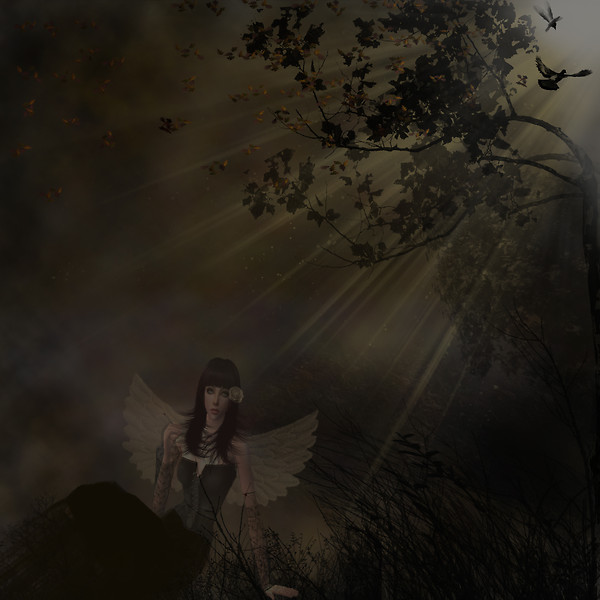 Light Has Found Me