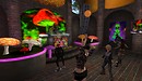 rafee at teknival