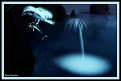 Ghosts