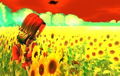 Blossom in the sunflower sea - Ravenelle Zugzwang