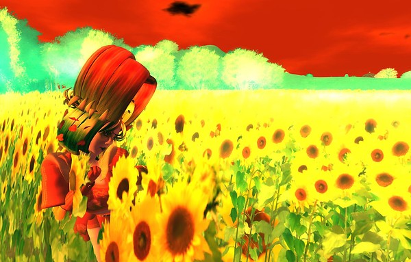 Blossom in the sunflower sea - Ravenelle Zugzwang
