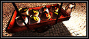 Cicada spices