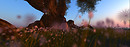 Totoro wandering 2