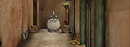 Totoro wandering 1