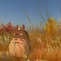 Totoro wandering 3