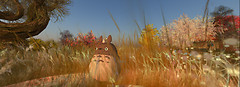 Totoro wandering 3