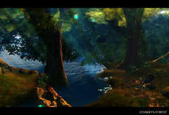 CHAKRYN_FOREST