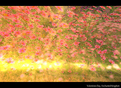 Enchanted_Silks_-_Valentines_Day,_Enchanted_Kingdom