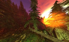 sun, trees, rocks - Torley Olmstead