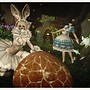 Chasing Rabbits
