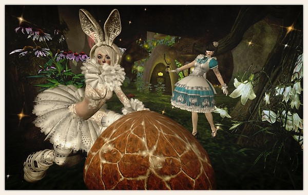 Chasing Rabbits