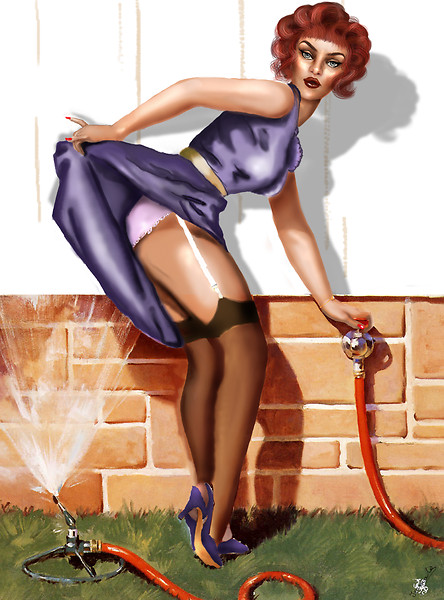 Robin_pinup version