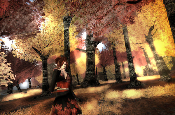 A Sweet Flower in Japan