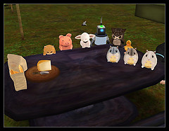 Picnic with friends
