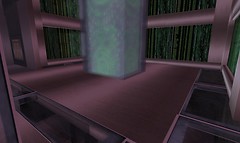 Snapshot_012