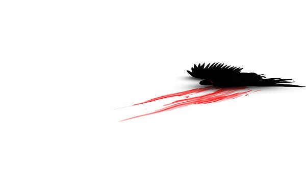 Mourning Black Swan