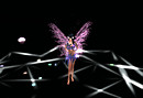 Rain of jewel　system