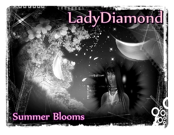 LadyDiamond Summer BloomsLadyD Photo Contest Entry