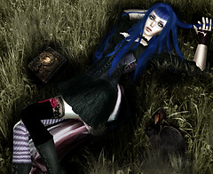 Black Rabbit