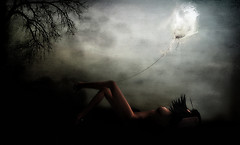 The dreamer and the butterfly