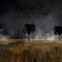Desolation 1