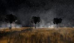 Desolation 1
