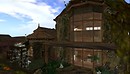 Alchemy Immortalis in Rabbit