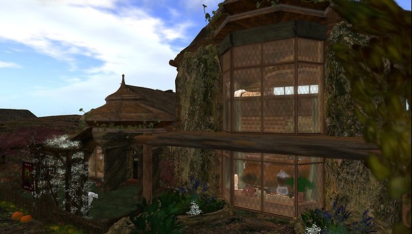 Alchemy Immortalis in Rabbit