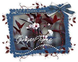 GingerTyme-BrokenWing-sd