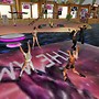 friends of milky way sim