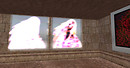 Snapshot_009