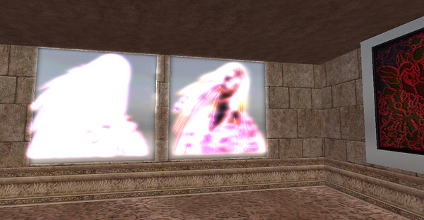 Snapshot_009