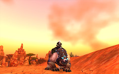 War Bear